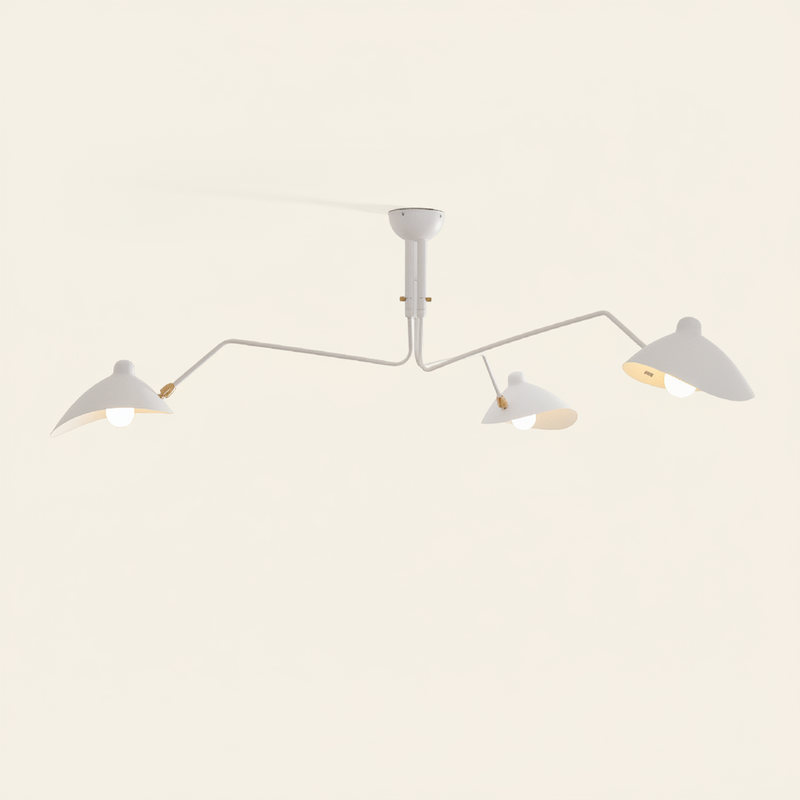 Arlowen Multi-Arm Suspended Ceiling Light