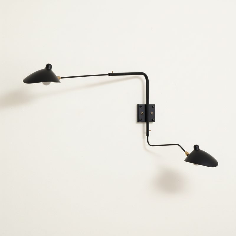 Brisenne Long-Arm Wall Sconce
