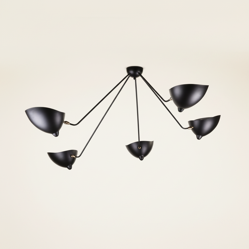 Delphane Multi-Arm Ceiling Light
