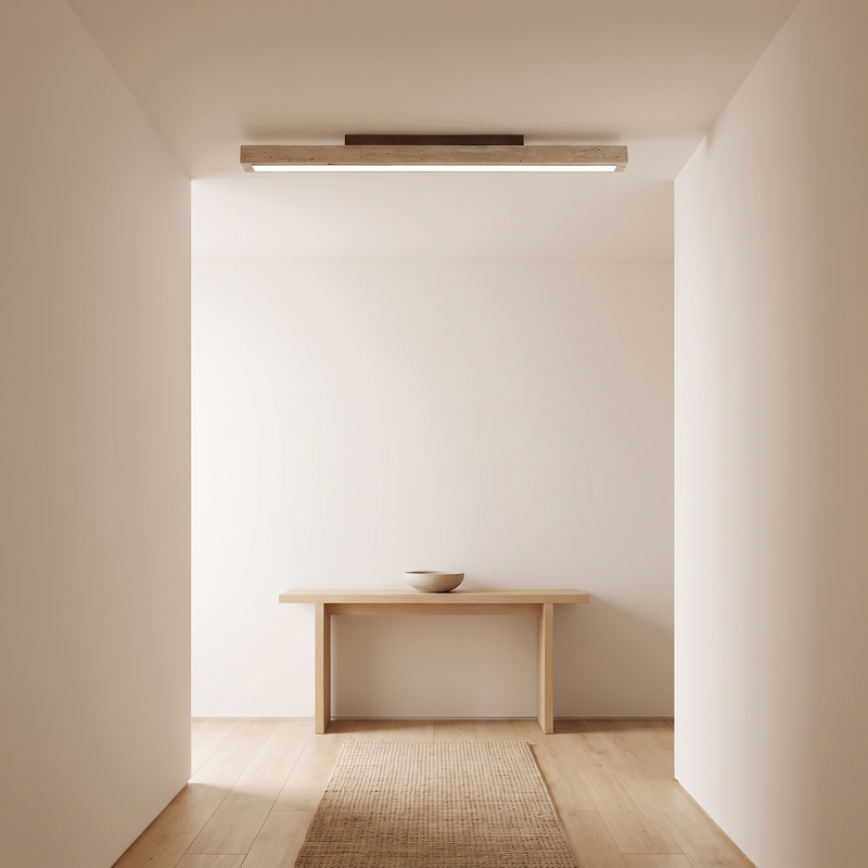 Travellin Ceiling Light