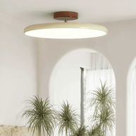 Drift Adjustable Ceiling Lamp