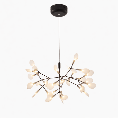 Comvilo firefly LED chandelier in black, front view of the fixture on a plain background