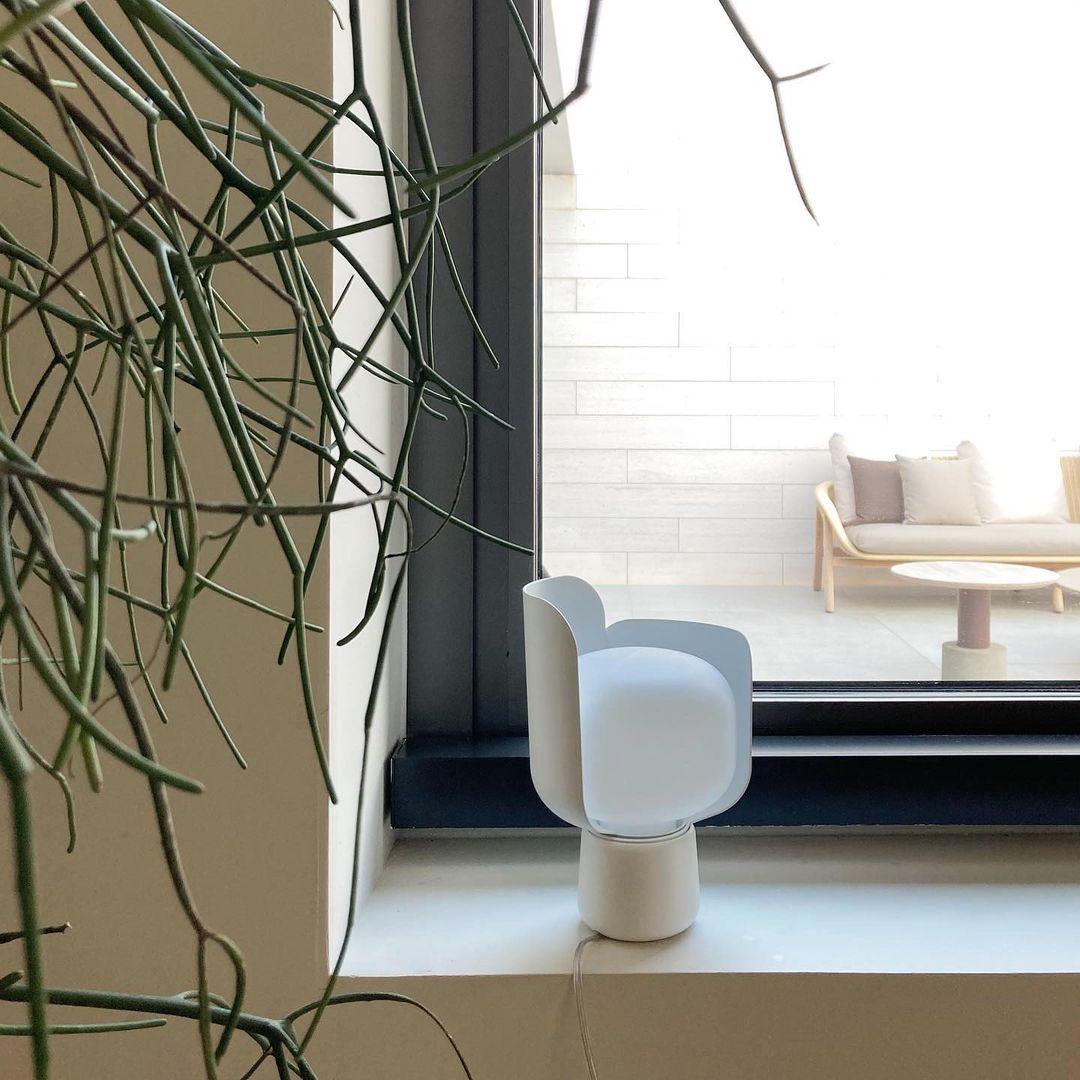 Pethella Table Lamp in white on a window sill