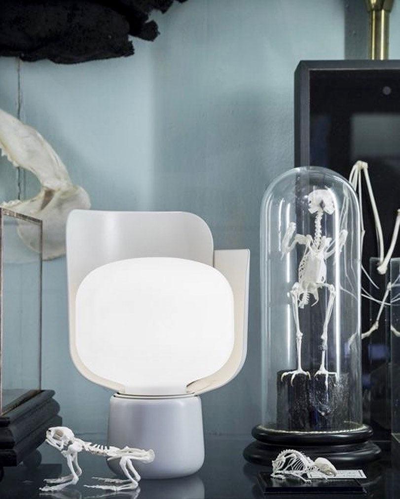 Pethella Table Lamp in white, lit beside glass domes