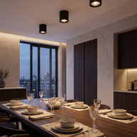 Comvilo Modupoint Ceiling Light in Black, portrait product view