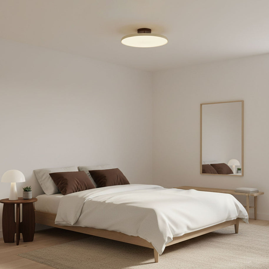 Drift Adjustable Ceiling Lamp