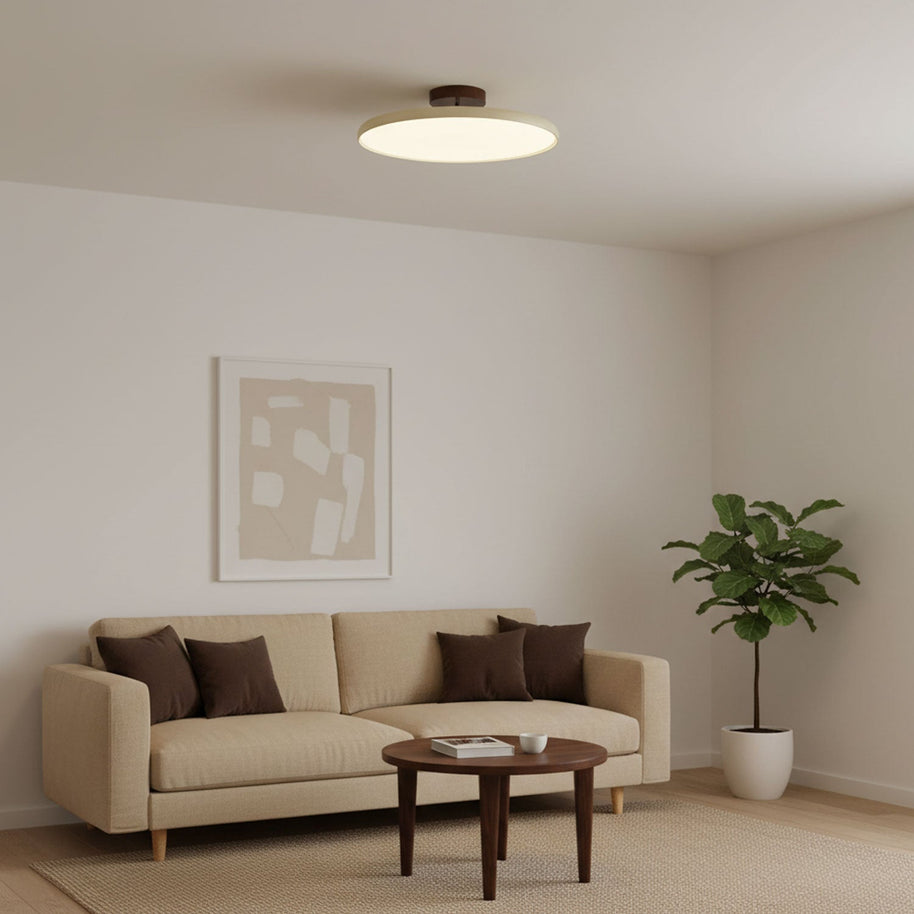Drift Adjustable Ceiling Lamp
