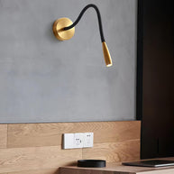 Flexi Hose Wall Light