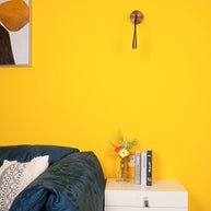 Flexi Hose Wall Light