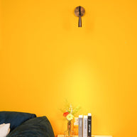 Flexi Hose Wall Light