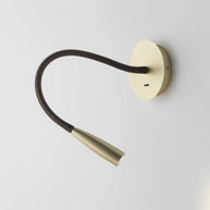 Flexi Hose Wall Light