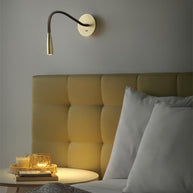 Flexi Hose Wall Light