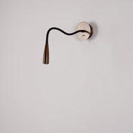 Flexi Hose Wall Light