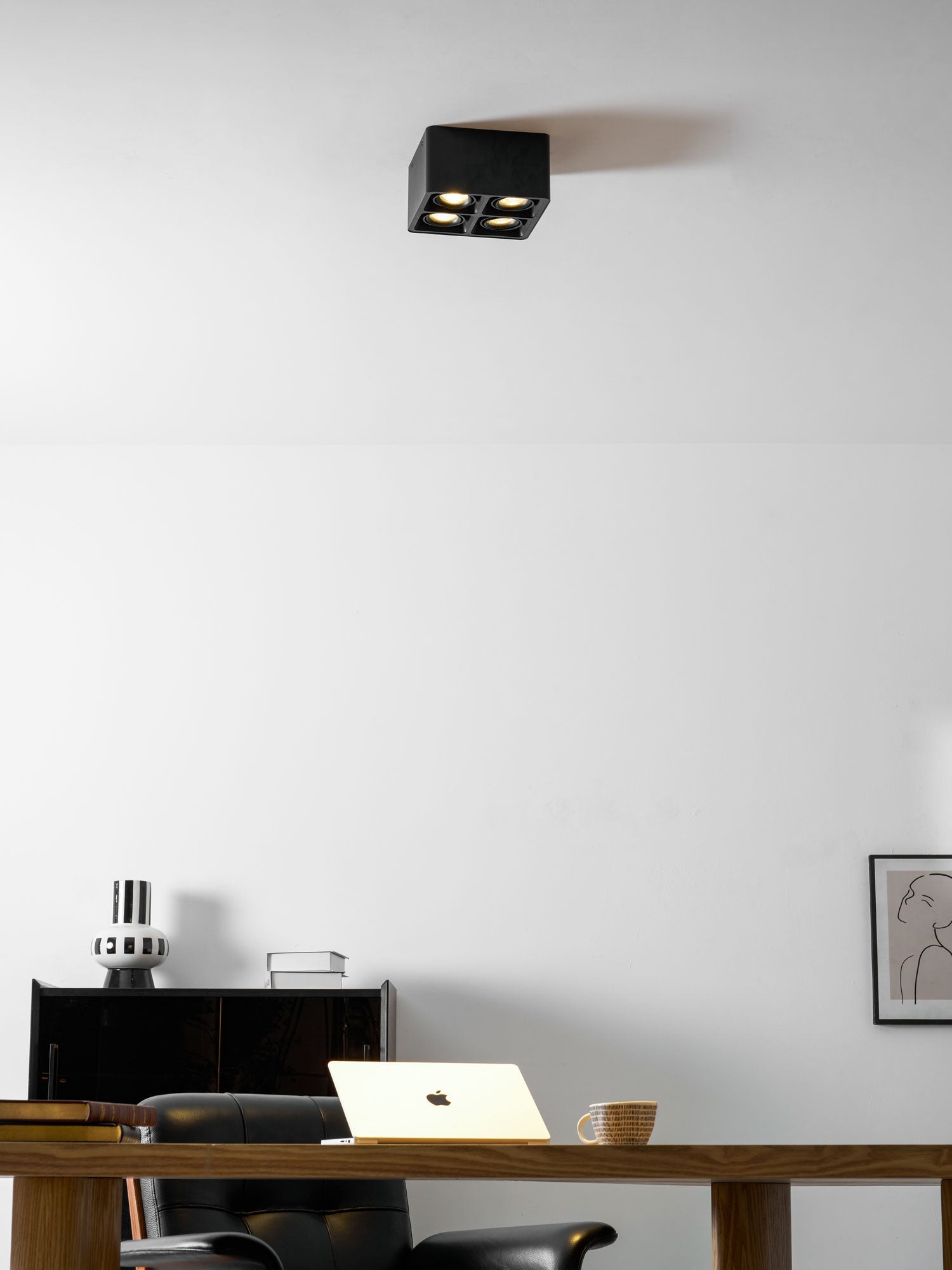 Giyan Adjustable Spotlight