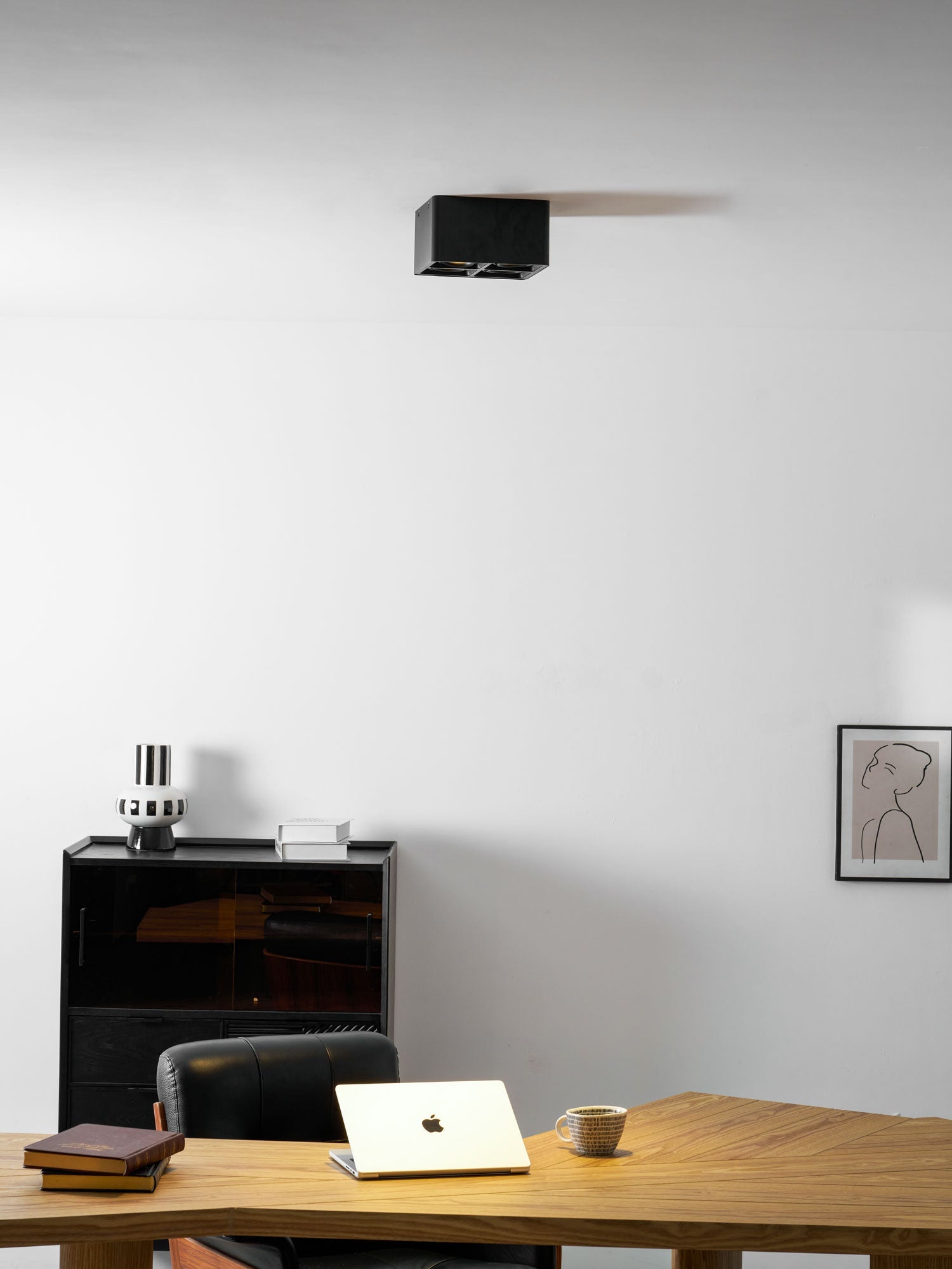 Giyan Adjustable Spotlight