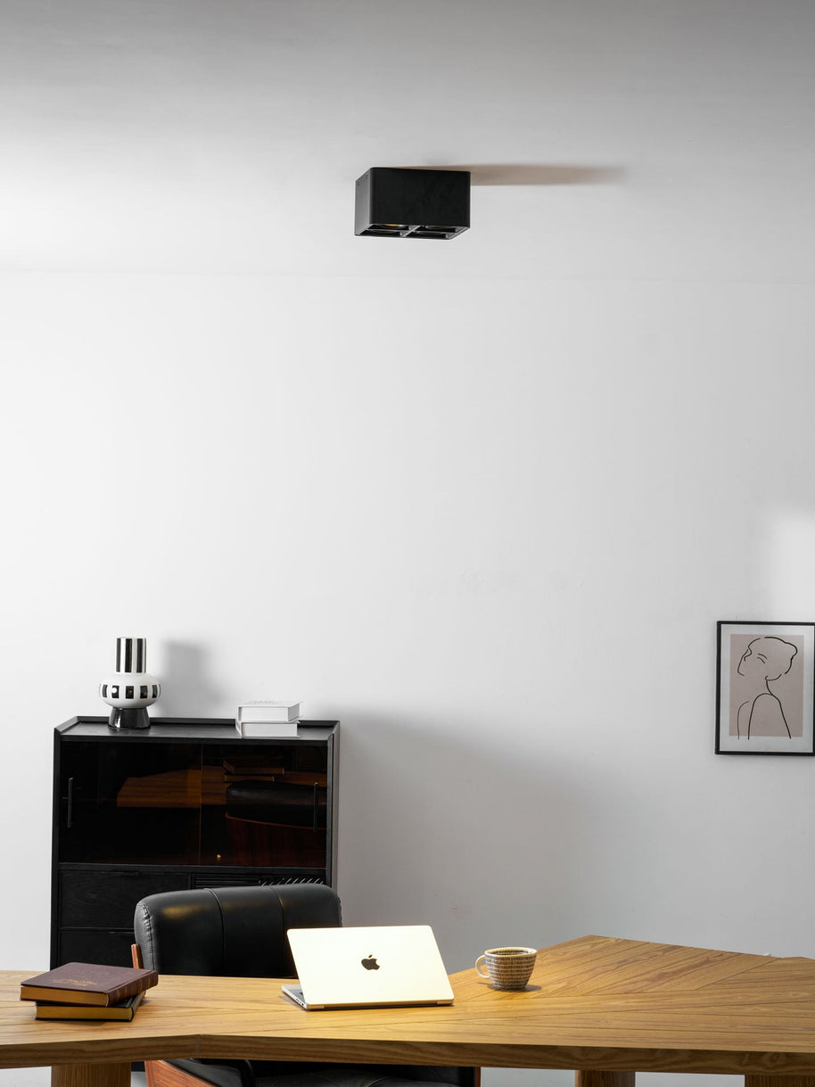 Giyan Adjustable Spotlight
