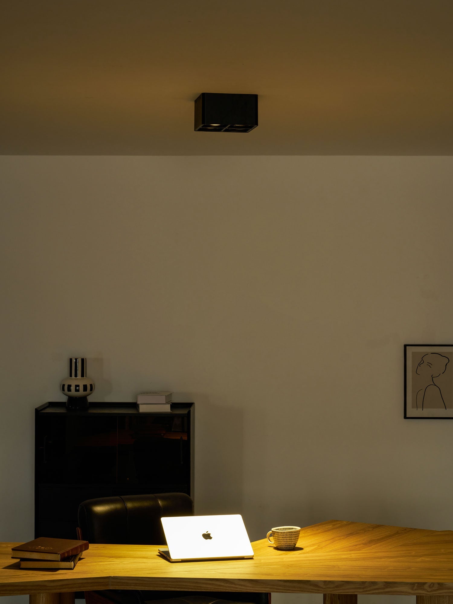 Giyan Adjustable Spotlight