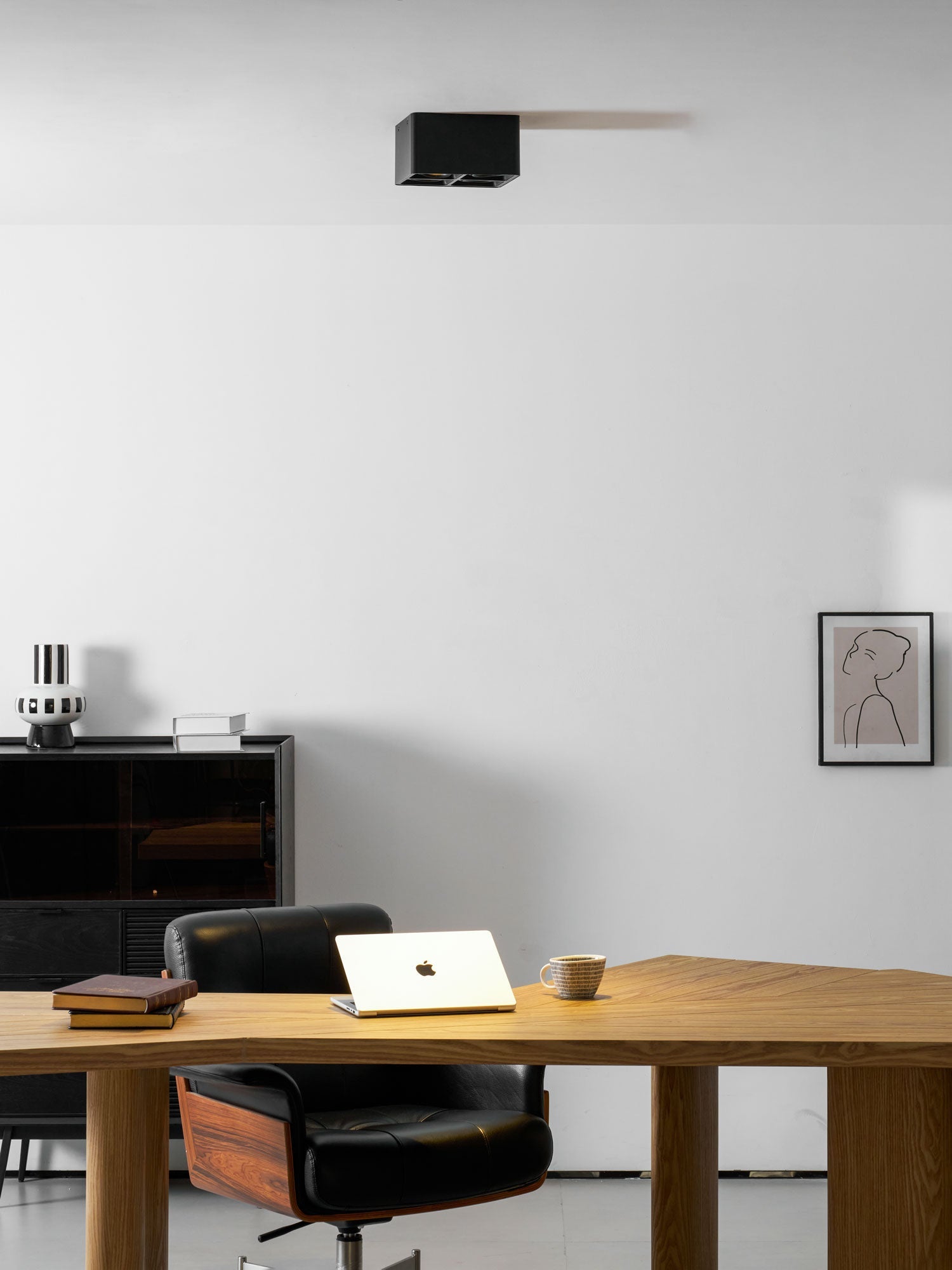 Giyan Adjustable Spotlight