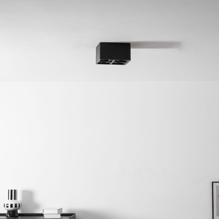 Giyan Adjustable Spotlight