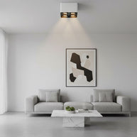 Giyan Adjustable Spotlight