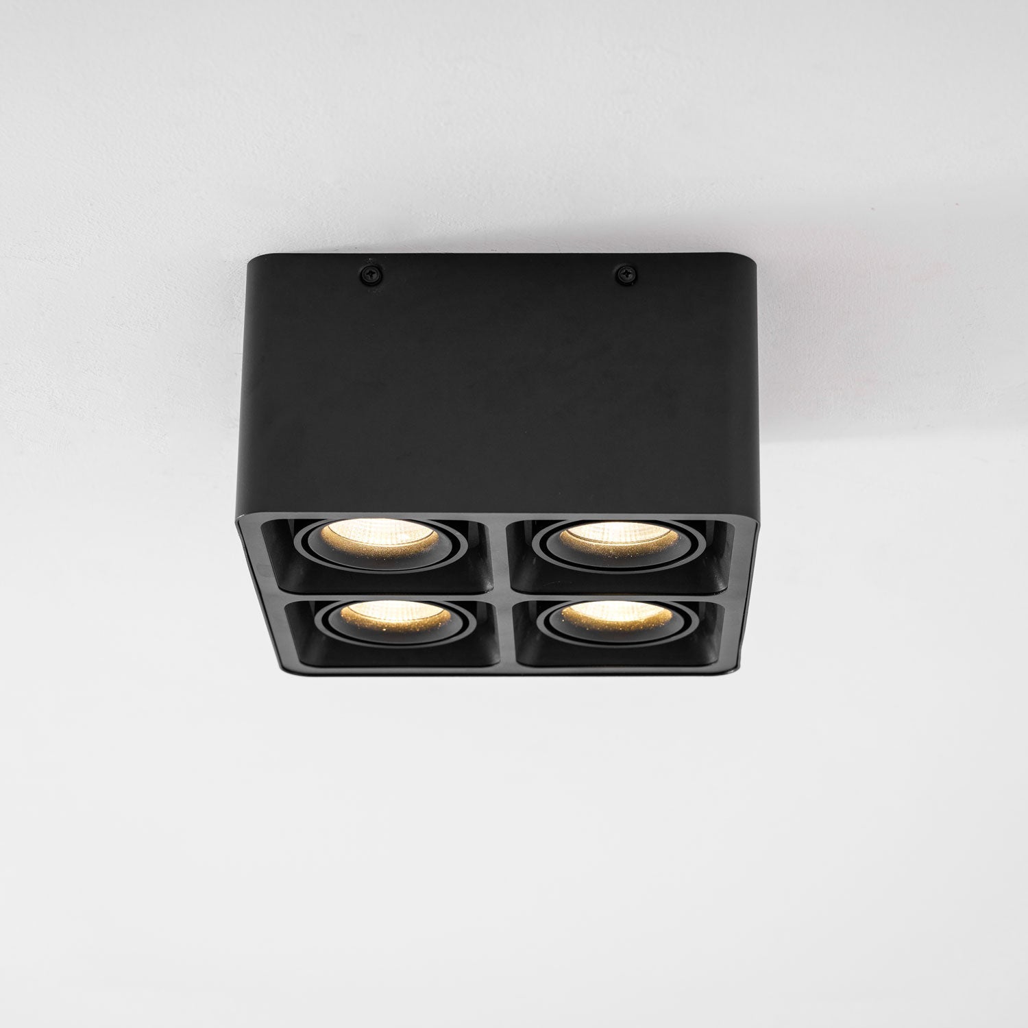 Giyan Adjustable Spotlight