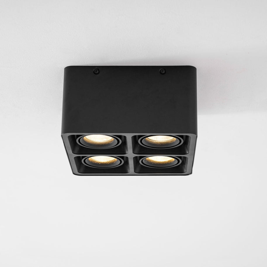 Giyan Adjustable Spotlight