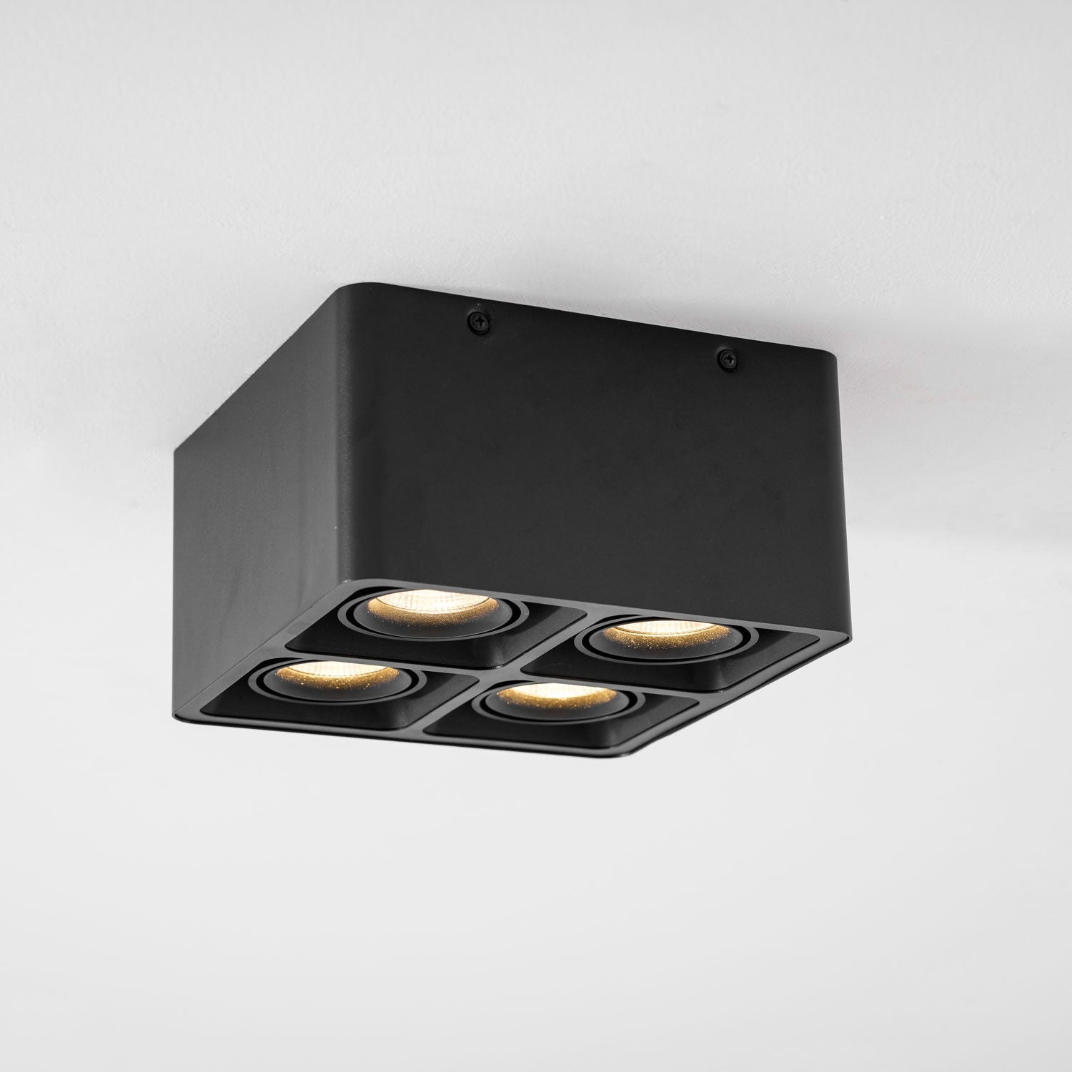 Giyan Adjustable Spotlight