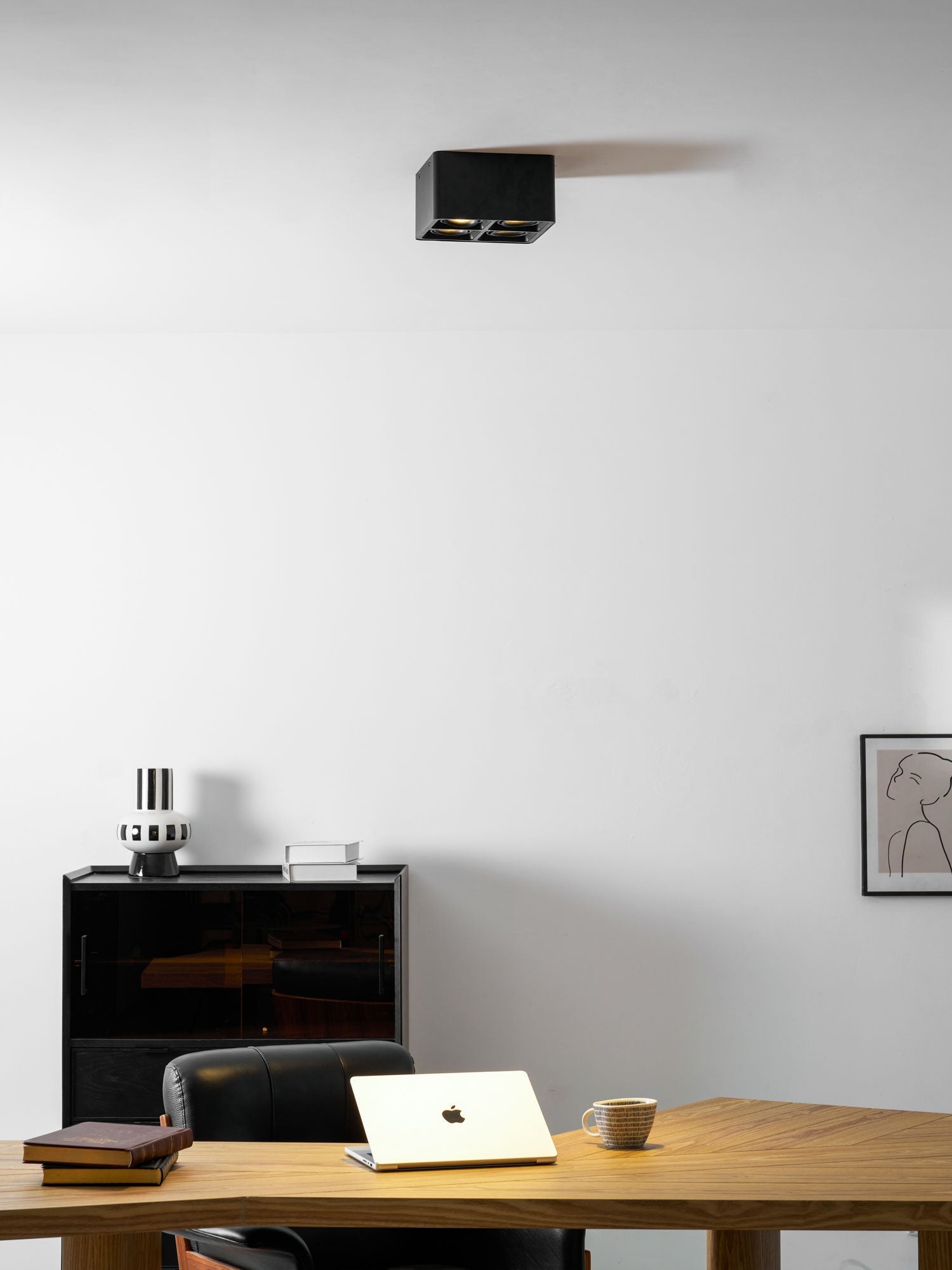 Giyan Adjustable Spotlight