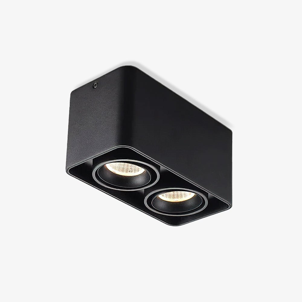 Giyan Adjustable Spotlight