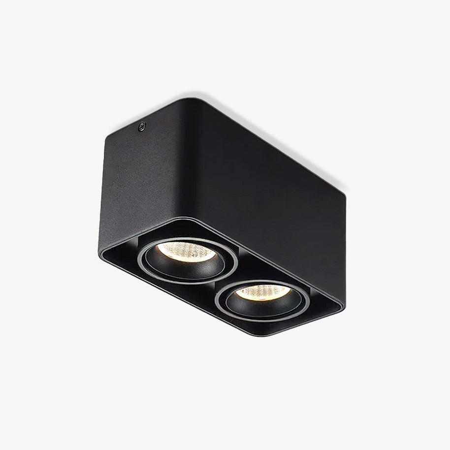 Giyan Adjustable Spotlight