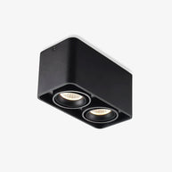 Giyan Adjustable Spotlight