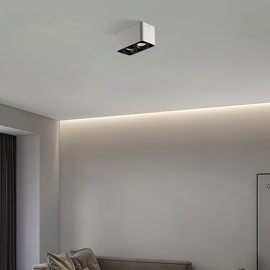 Giyan Adjustable Spotlight