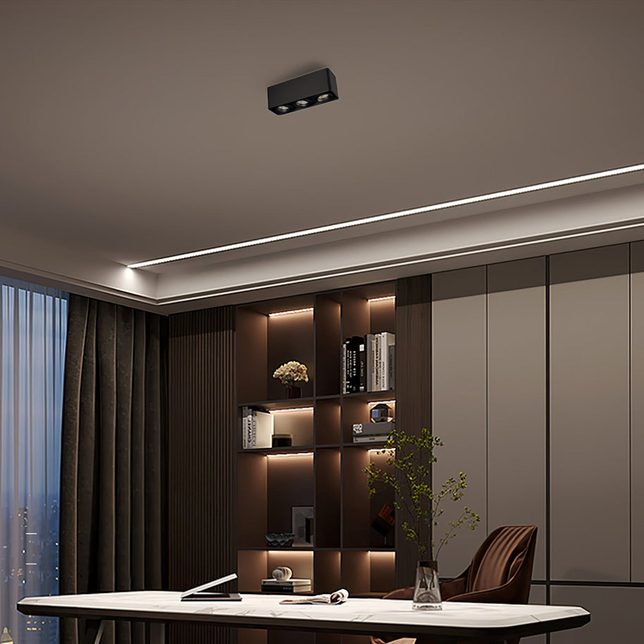 Giyan Adjustable Spotlight