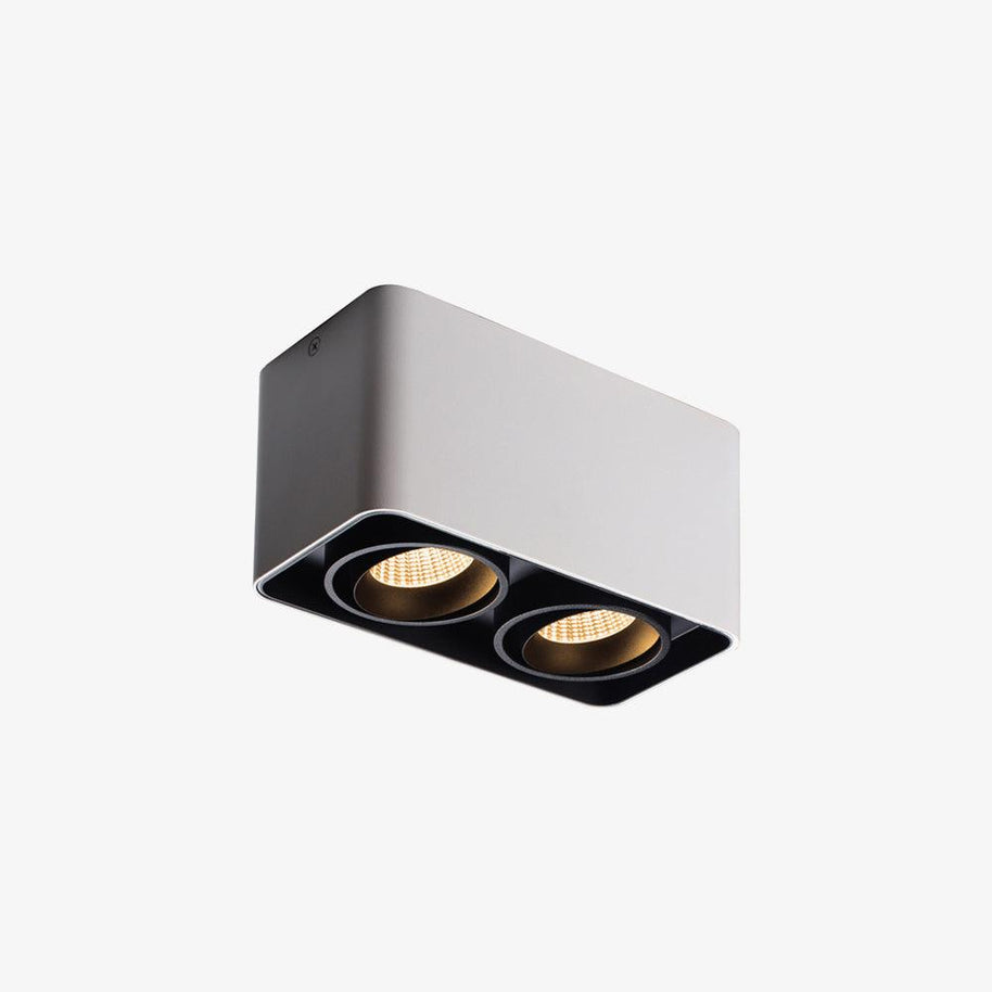 Giyan Adjustable Spotlight