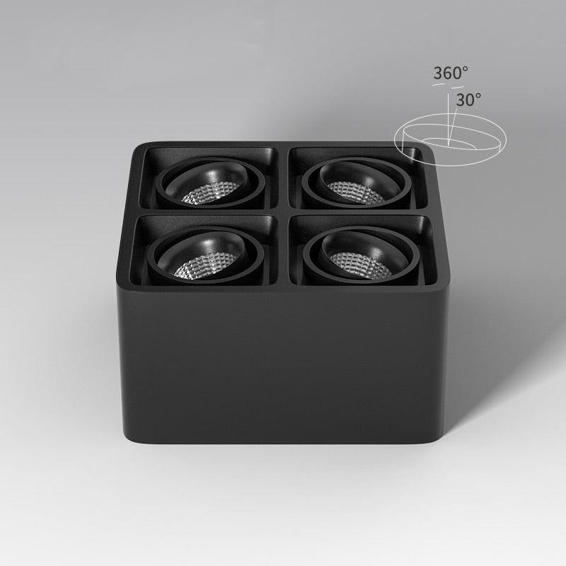 Giyan Adjustable Spotlight