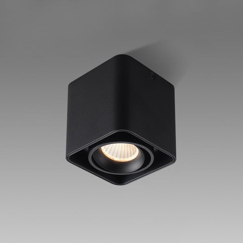 Giyan Adjustable Spotlight