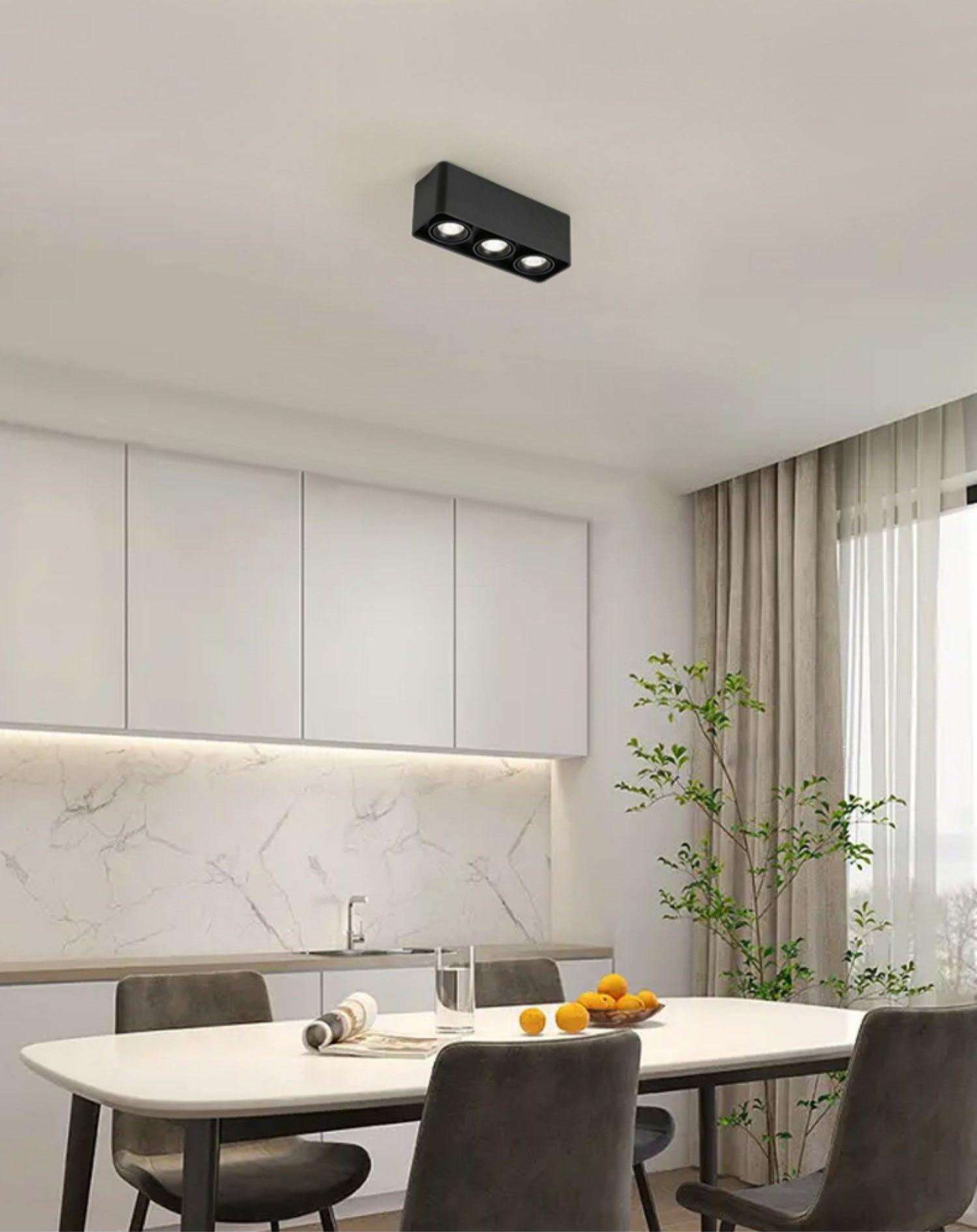 Giyan Adjustable Spotlight
