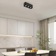 Giyan Adjustable Spotlight