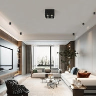 Giyan Adjustable Spotlight