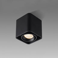 Giyan Adjustable Spotlight
