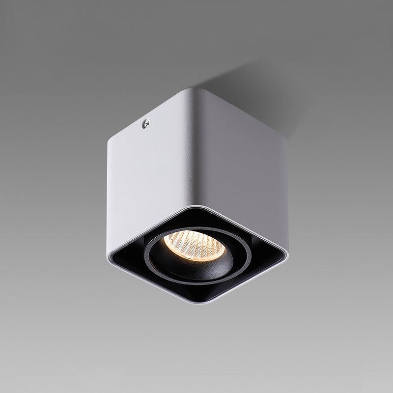 Giyan Adjustable Spotlight