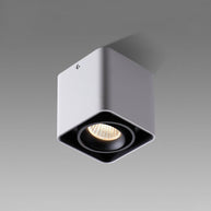 Giyan Adjustable Spotlight