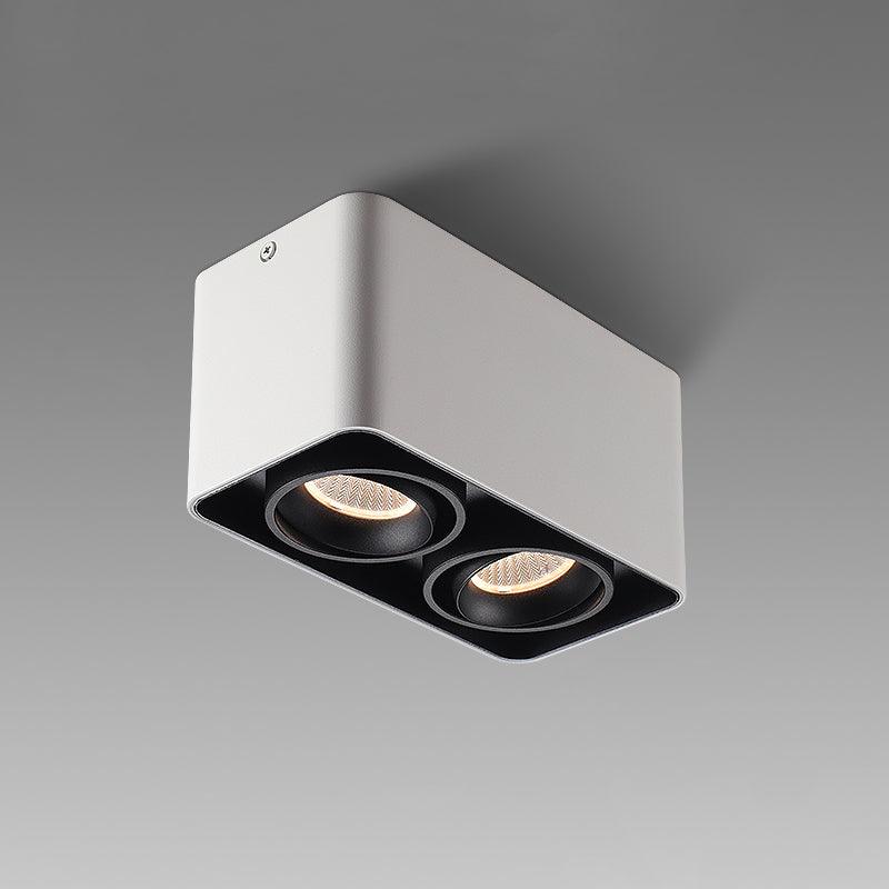 Giyan Adjustable Spotlight