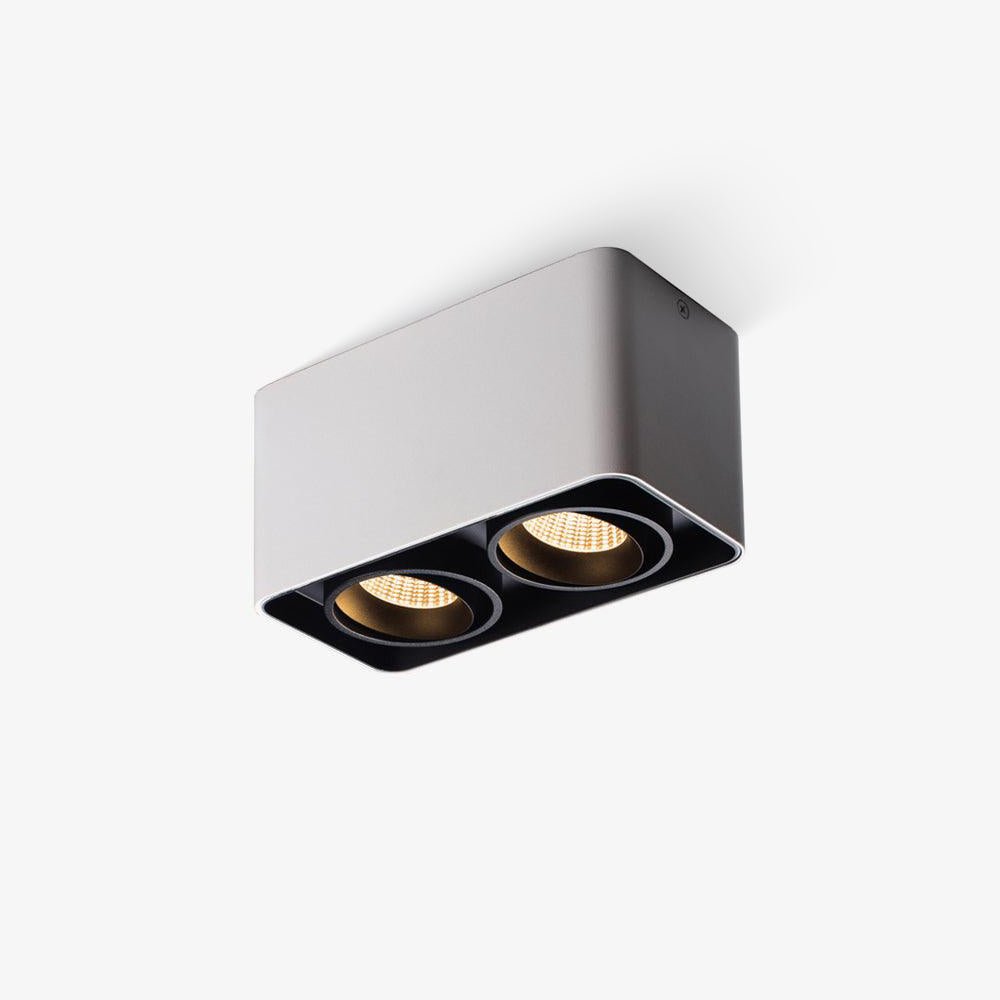 Giyan Adjustable Spotlight
