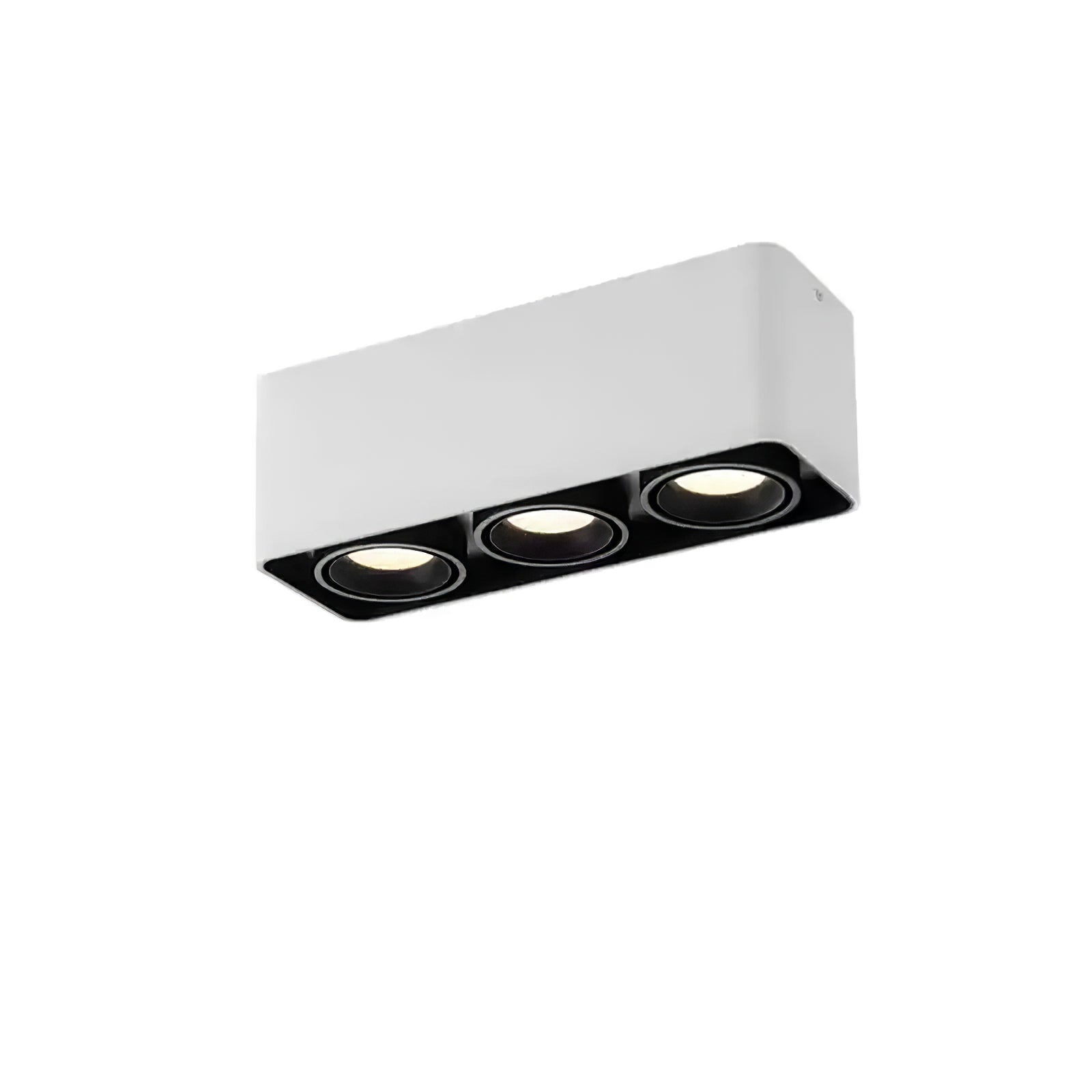 Giyan Adjustable Spotlight