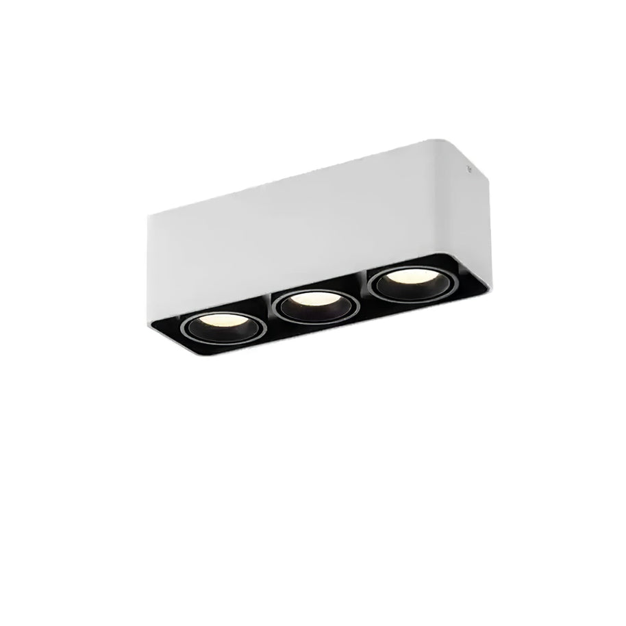 Giyan Adjustable Spotlight