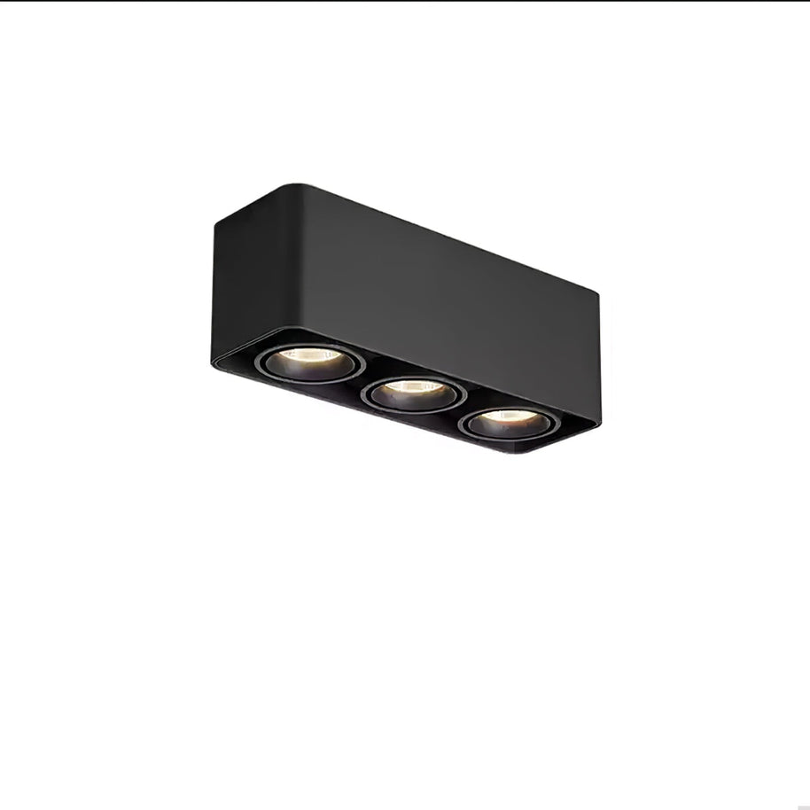 Giyan Adjustable Spotlight