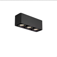 Giyan Adjustable Spotlight