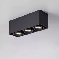 Giyan Adjustable Spotlight