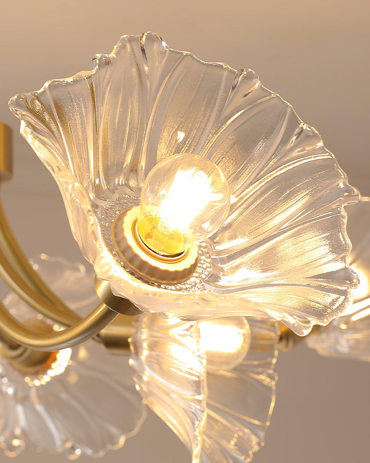 Close view of a lit bulb inside one clear flower-shaped shade.